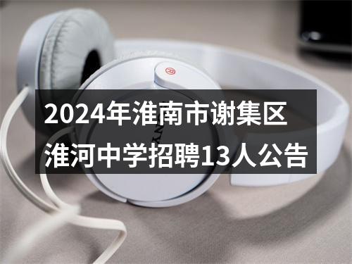 2024年淮南市谢集区淮河中学招聘13人公告 图片