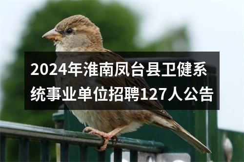 2024年淮南凤台县卫健系统事业单位招聘127人公告 图片