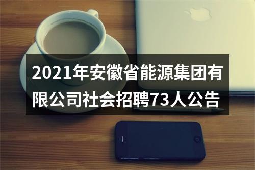 2021年安徽省能源集团有限公司社会招聘73人公告 图片